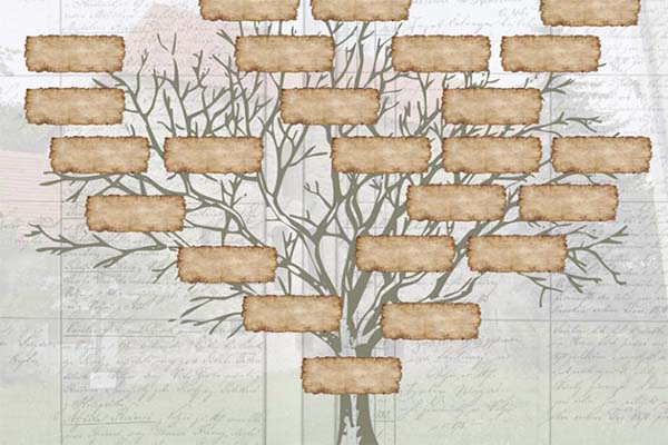 genealogie